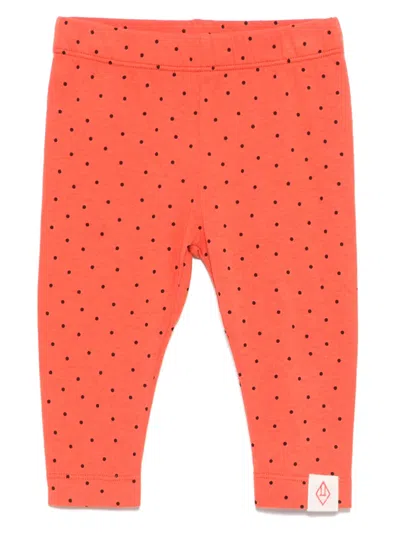 The Animals Observatory Babies' Polka-dot Leggings In Red
