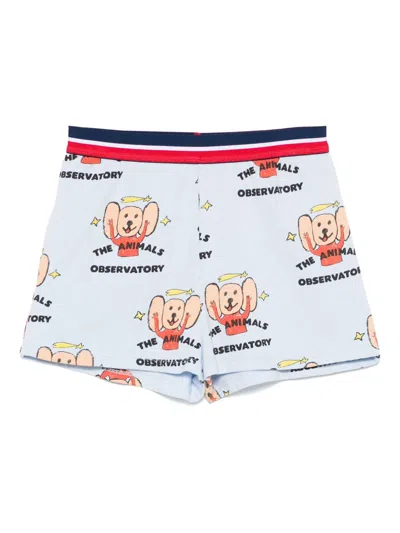 The Animals Observatory Kids' Poodle Shorts In Blue
