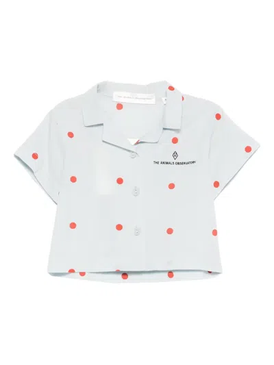 The Animals Observatory Babies' Saola Polka Dot Shirt In Blue