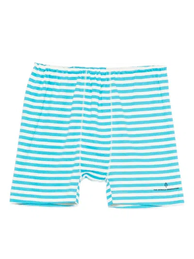 The Animals Observatory Kids' Striped Shorts In Blue