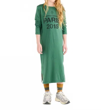 The Animals Observatory Kids' Sun Barbet Dress In Green