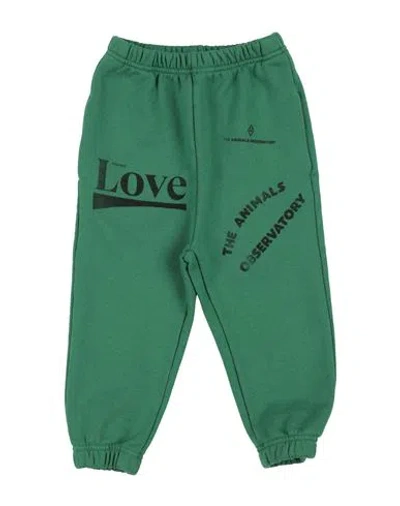 The Animals Observatory Babies'  Toddler Boy Pants Green Size 6 Cotton