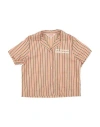 The Animals Observatory Toddler Girl Shirt Sand Size 6 Cotton In Beige