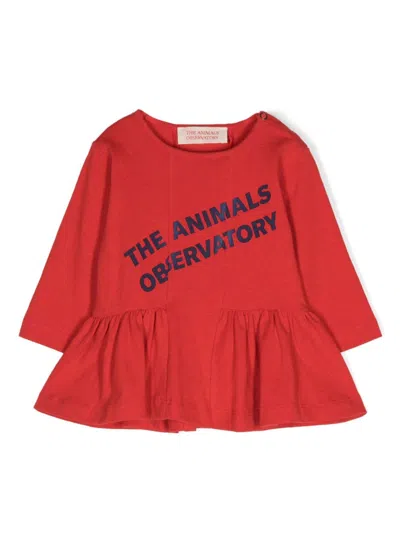 The Animals Observatory Babies' Wildebeest Logo-print Dress In Red