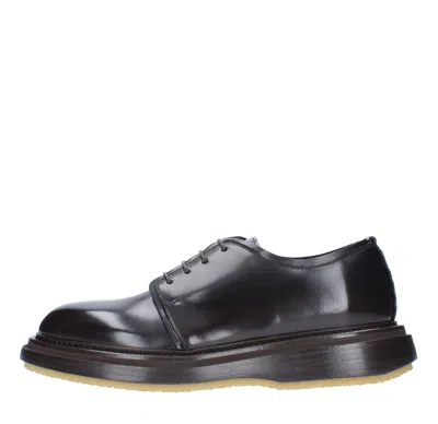 The Antipode Flat Shoes Dark Brown In Marrone Marroni