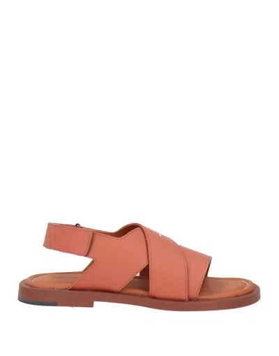 The Antipode Sandals In Brown