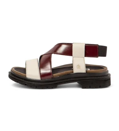 The Art Company Women's Birmingham Sandal In Burgandy And Cream In Multi