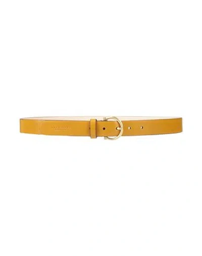 The Bridge Woman Belt Mustard Size 36 Leather In Neutral
