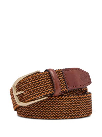 The Bridge Woven Belt In Brown