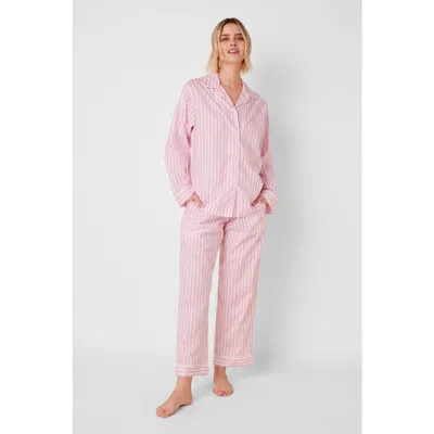The Cat's Pajamas Gingham Pima Cotton Pajama Set In Pink