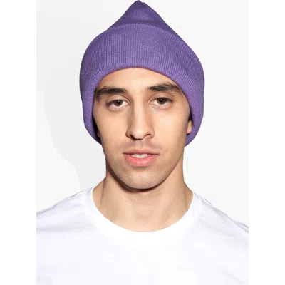 The Celect Classic Beanie In Purple