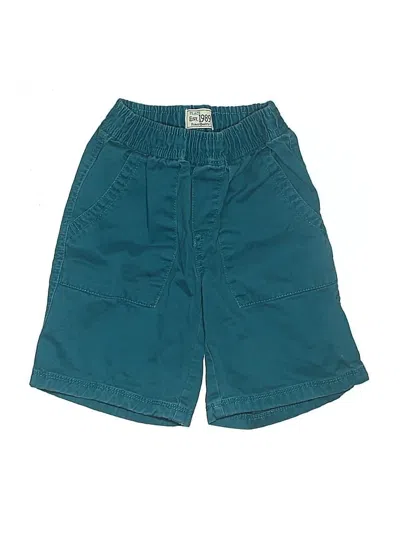 Pre-owned The Childrens Place Kids' Cargo Shorts In Blue