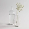 The Collective Bottles Assorted Set Of 2 In Clear