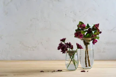 The Collective Floral Propogate Assorted In Nickel