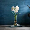The Collective Pebbled Bulb Vase In Clear