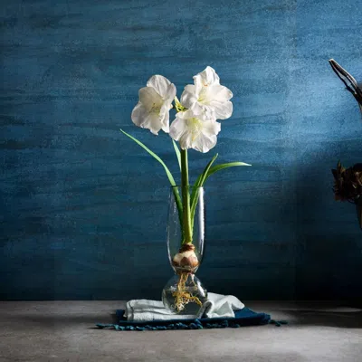 The Collective Pebbled Bulb Vase In Clear