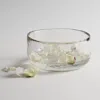 The Collective Salad Bowl In Clear