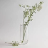 The Collective Tall Vase In Clear