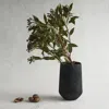 The Collective Vase In Black