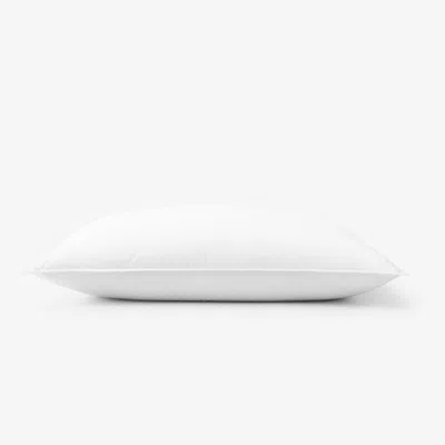 The Company Store Best Down Pillow In White