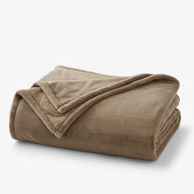 The Company Store Blanket In Brown