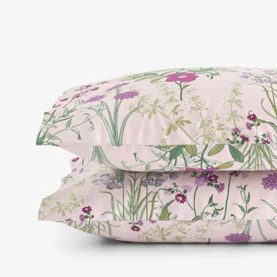 The Company Store Bloom Meadow Classic Smooth Sateen Pillowcase Set In Multi