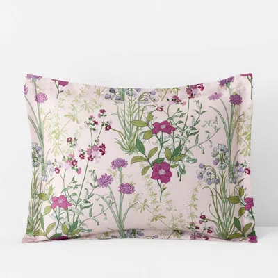The Company Store Bloom Meadow Classic Smooth Sateen Sham In Multi