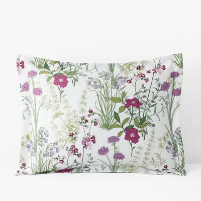 The Company Store Bloom Meadow Classic Smooth Sateen Sham In Multi