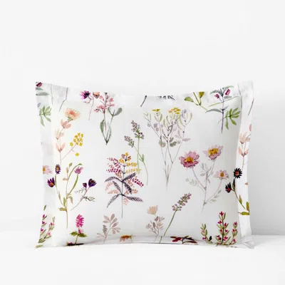 The Company Store Blooming Garden Classic Smooth Sateen Sham In White