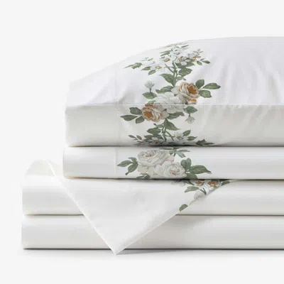 The Company Store Blooming Melody Border Premium Smooth Wrinkle-free Sateen Bed Sheet Set In Green/white