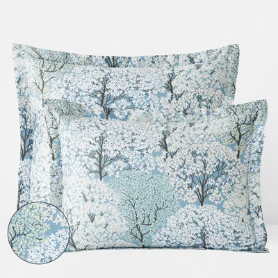 The Company Store Blooming Trees Classic Smooth Sateen Sham In Blue