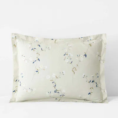 The Company Store Blossom Trail Garment Washed Cotton Percale Sham In Sand