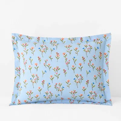 The Company Store Blossoms And Stripes Classic Cool Cotton Percale Sham In Blue