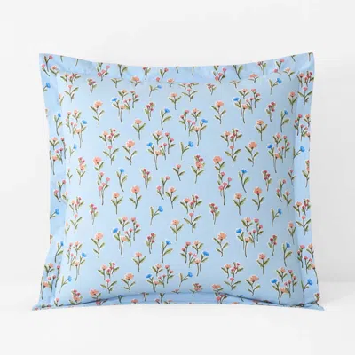 The Company Store Blossoms And Stripes Classic Cool Cotton Percale Sham In Blue