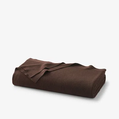 The Company Store Classic All Season Breathable Cotton Knit Throw Blanket In Brown