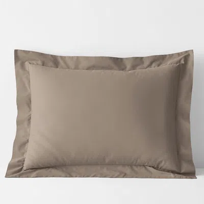 The Company Store Classic Cool Cotton Percale Sham In Brown