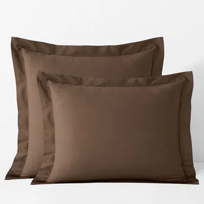 The Company Store Classic Cool Cotton Percale Sham In Brown