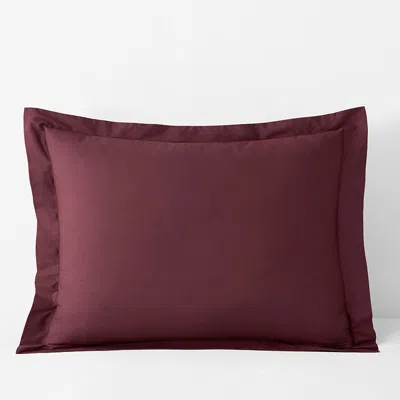 The Company Store Classic Cool Cotton Percale Sham In Multi