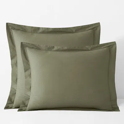 The Company Store Classic Cool Cotton Percale Sham In Olive Green
