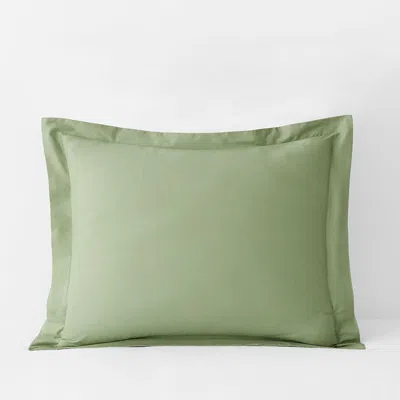 The Company Store Classic Cool Organic Cotton Percale Solid Sham In Green