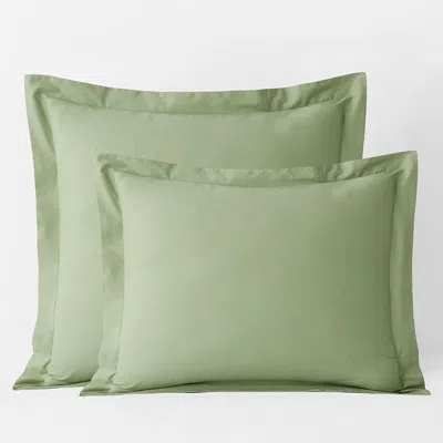 The Company Store Classic Cool Organic Cotton Percale Solid Sham In Moss Green