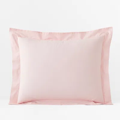 The Company Store Classic Cool Organic Cotton Percale Solid Sham In Pink