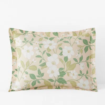 The Company Store Clemencia Classic Cool Cotton Percale Sham In Green