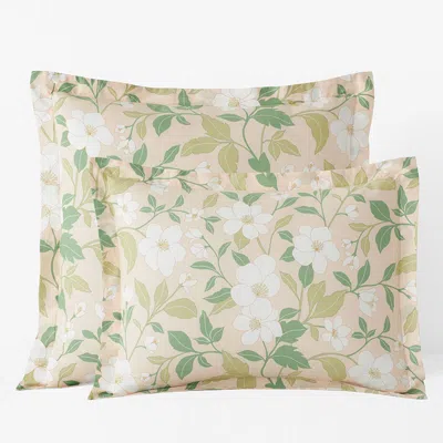 The Company Store Clemencia Classic Cool Cotton Percale Sham In Green/orange/coral