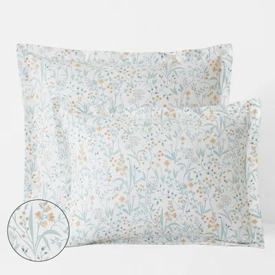 The Company Store Clemencia Classic Cool Cotton Percale Sham In Mini Floral Pale Blue