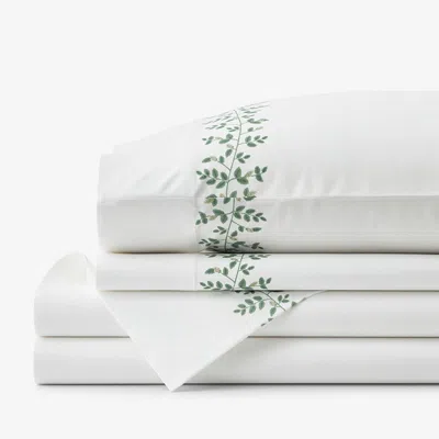 The Company Store Climbing Vines Border Classic Cool Cotton Percale Bed Sheet Set In Green/white
