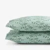 The Company Store Climbing Vines Classic Cool Cotton Percale Pillowcase Set In Sage Green