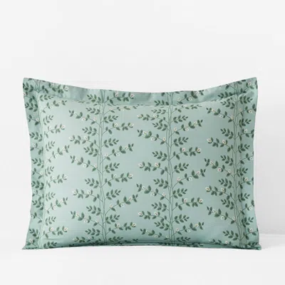 The Company Store Climbing Vines Classic Cool Cotton Percale Sham In Green