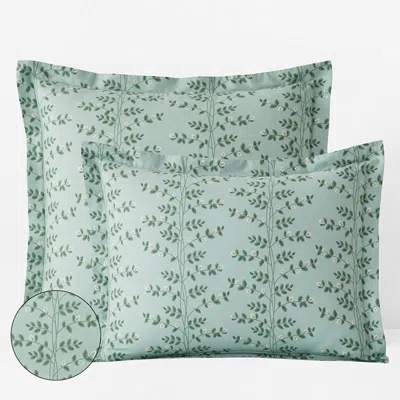The Company Store Climbing Vines Classic Cool Cotton Percale Sham In Sage Green