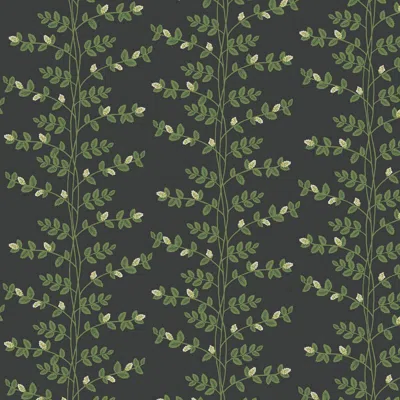The Company Store Climbing Vines Traditional Wallpaper In Black/green